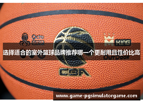选择适合的室外篮球品牌推荐哪一个更耐用且性价比高