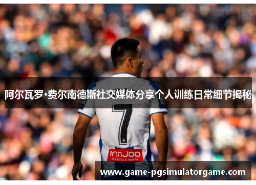 阿尔瓦罗·费尔南德斯社交媒体分享个人训练日常细节揭秘