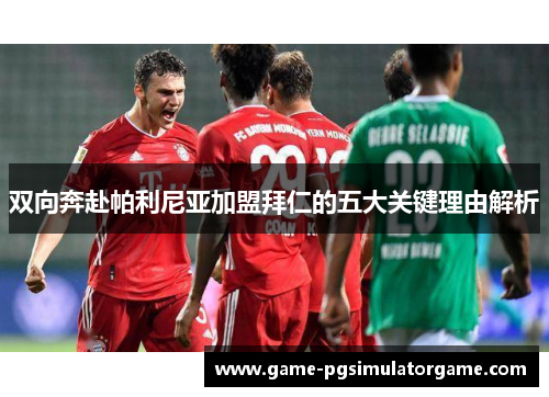 双向奔赴帕利尼亚加盟拜仁的五大关键理由解析