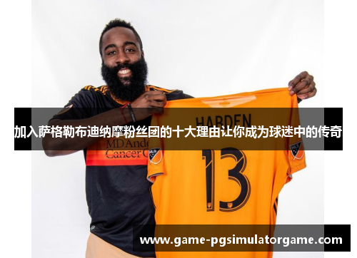 加入萨格勒布迪纳摩粉丝团的十大理由让你成为球迷中的传奇