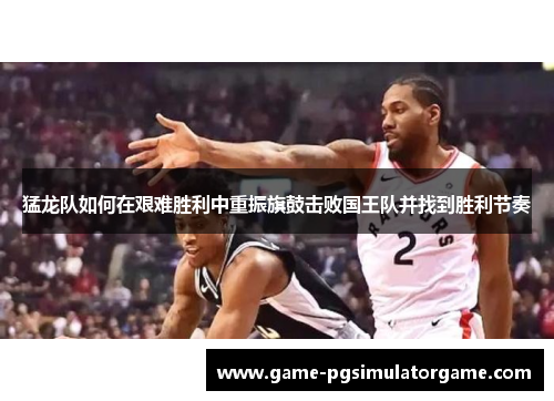 猛龙队如何在艰难胜利中重振旗鼓击败国王队并找到胜利节奏