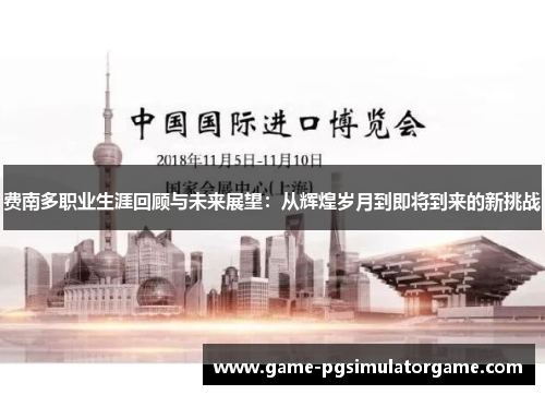 费南多职业生涯回顾与未来展望：从辉煌岁月到即将到来的新挑战