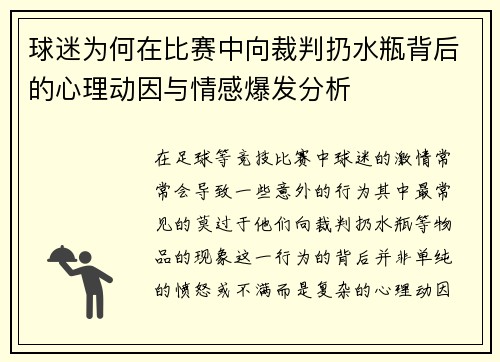 球迷为何在比赛中向裁判扔水瓶背后的心理动因与情感爆发分析