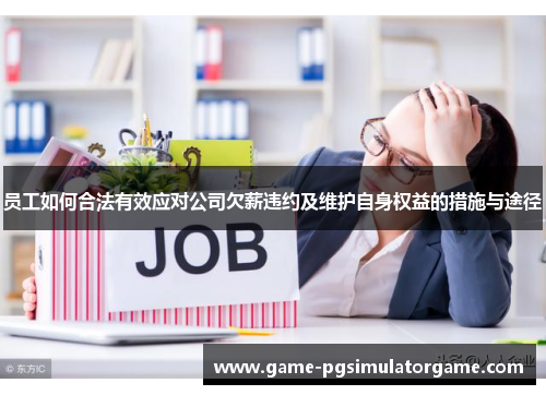 员工如何合法有效应对公司欠薪违约及维护自身权益的措施与途径