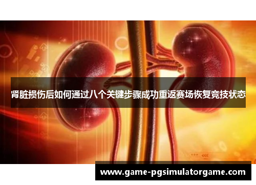 肾脏损伤后如何通过八个关键步骤成功重返赛场恢复竞技状态