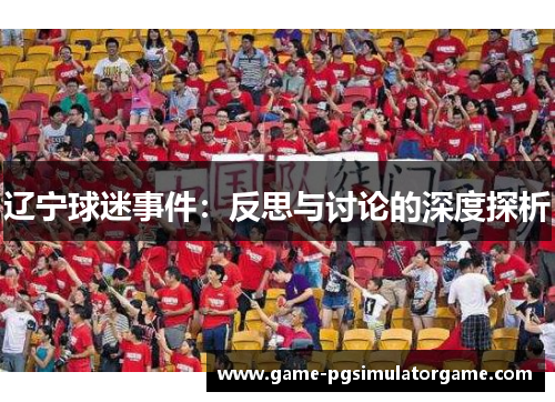 辽宁球迷事件：反思与讨论的深度探析
