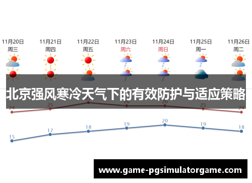 北京强风寒冷天气下的有效防护与适应策略