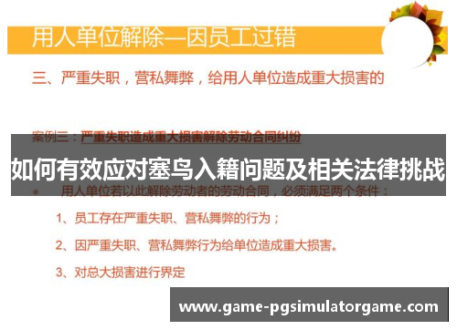 如何有效应对塞鸟入籍问题及相关法律挑战