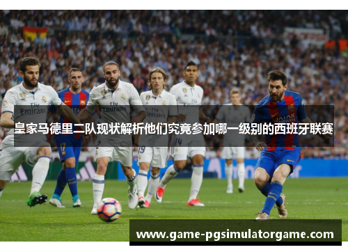 皇家马德里二队现状解析他们究竟参加哪一级别的西班牙联赛