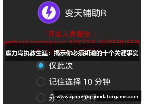 魔力鸟执教生涯:揭示你必须知道的十个关键事实