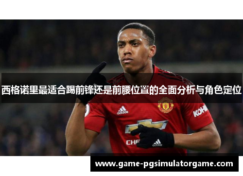 西格诺里最适合踢前锋还是前腰位置的全面分析与角色定位