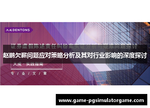 赵鹏欠薪问题应对策略分析及其对行业影响的深度探讨