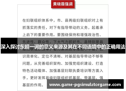 深入探讨东超一词的意义来源及其在不同语境中的正确用法