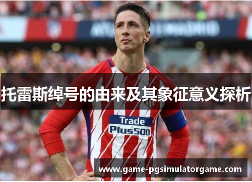 托雷斯绰号的由来及其象征意义探析